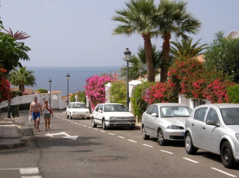 Tenerifffa02141007