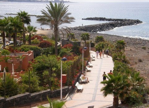 tenerifffa02171007