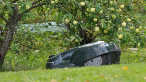 Grasklippare01220813