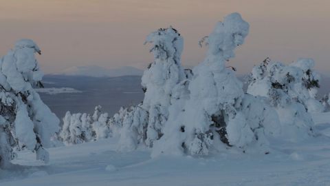 Vintervy från Levi den 29 november 2013. Pallas skymtar i bakgrunden.