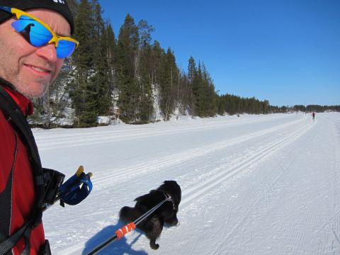 Ivar drar ivrigt. På Immeljärvis is.