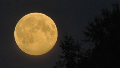 Supermåne i Smedsby 10 augusti 2014