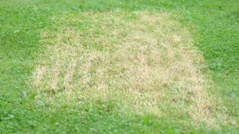 Gräset brändes under de korrugerade plastskivorna