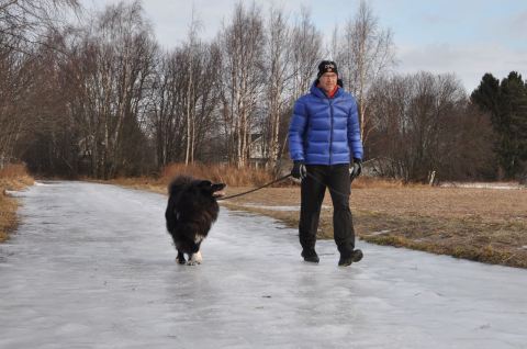 Morgonpromenad i Smedsby 1 mars 2015.