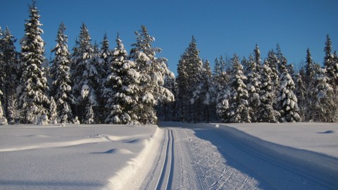 Skidspår i Levi, februari 2016.