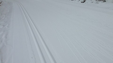 Konstsnöspåret vid Öjberget 23 mars 2016