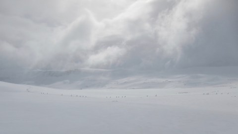 Vita vidder i Fossavatnsgangan
