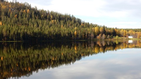 Immeljärvi 13.9.2016