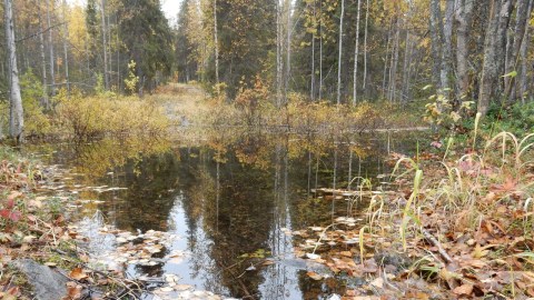 Stigen ställvis under vatten